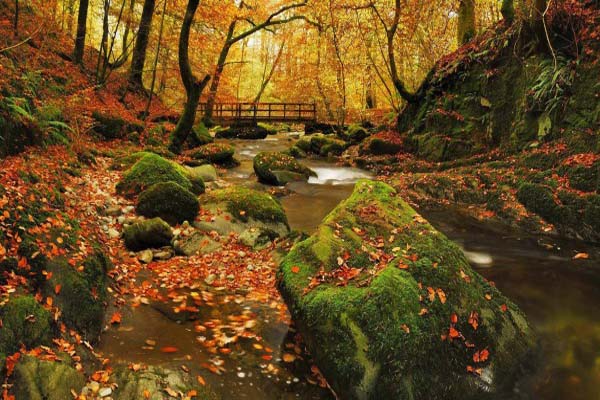 varázslatos a természet ősszel