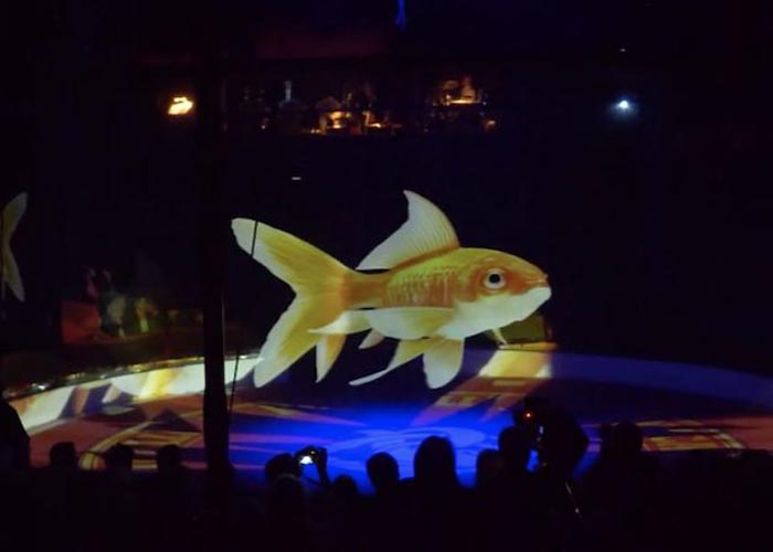 Egy német cirkuszban beszüntették az állatos produkciókat – hologramokat használnak az élő állatok helyett 