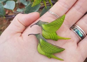 kolibri formájú virág